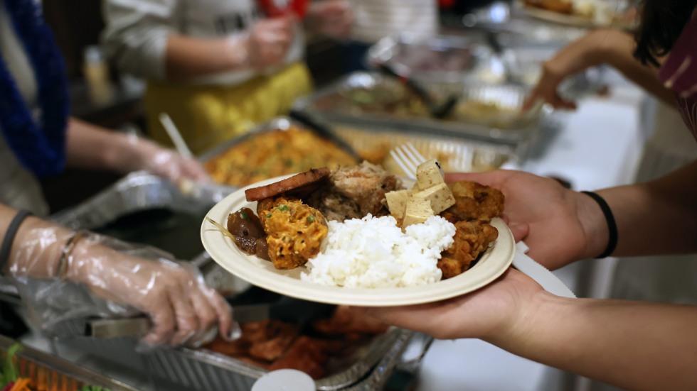 Hands hold plate of food