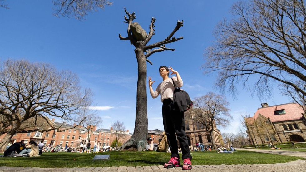 student discusses a tree sculpture