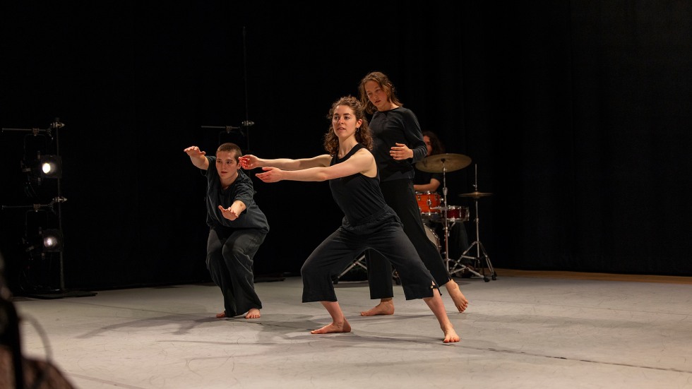 dance showcase modern