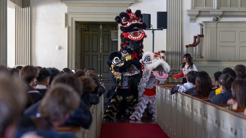 Chinese lion dance