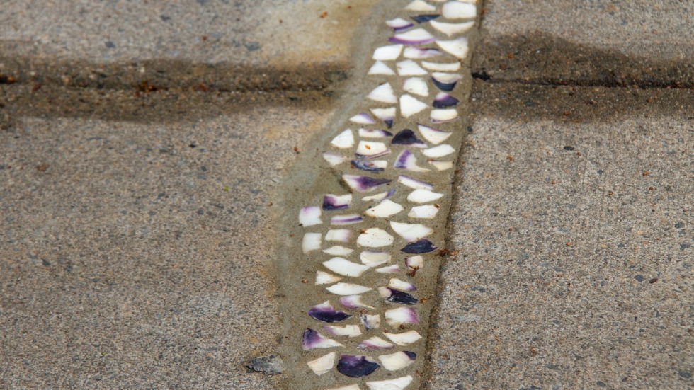 quahog shells fill a crack in the sidewalk