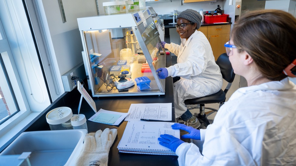 Students in a lab