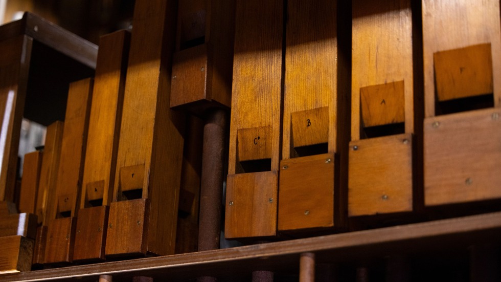 wood organ pipes