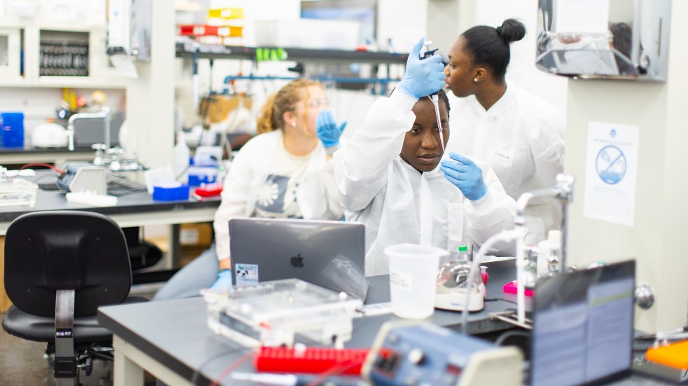 students focusing in winter session lab course