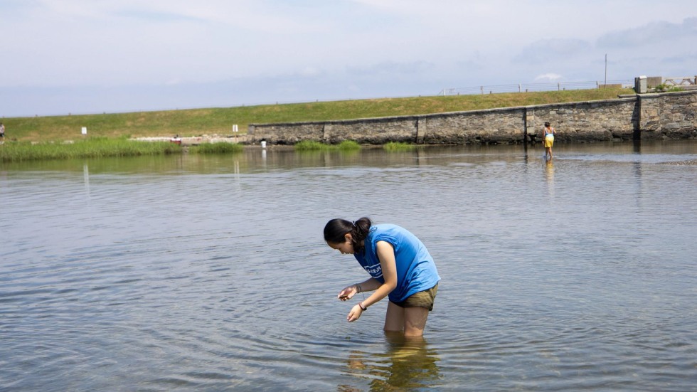 Sophia Wu stands in the water