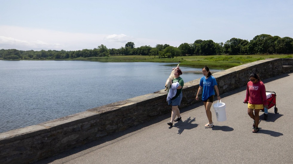 people walking with nets beside the water