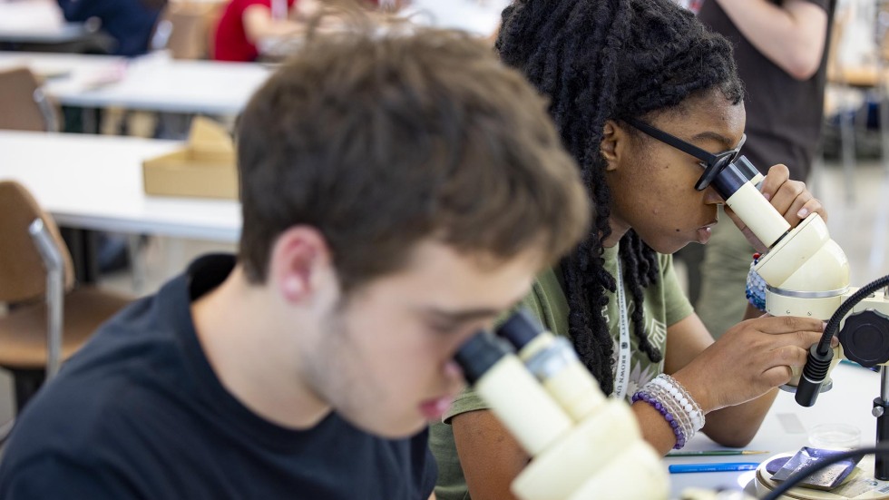Local high schoolers look through microscopes in a pre-college course at Brown