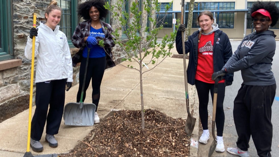 four people planting a city tree