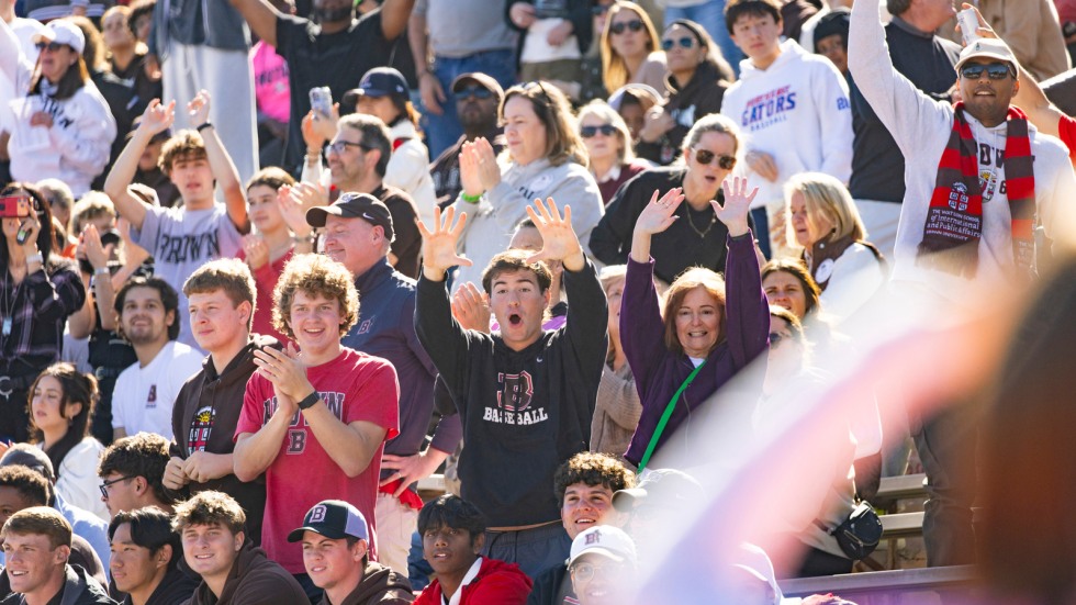 crowd cheers in stands
