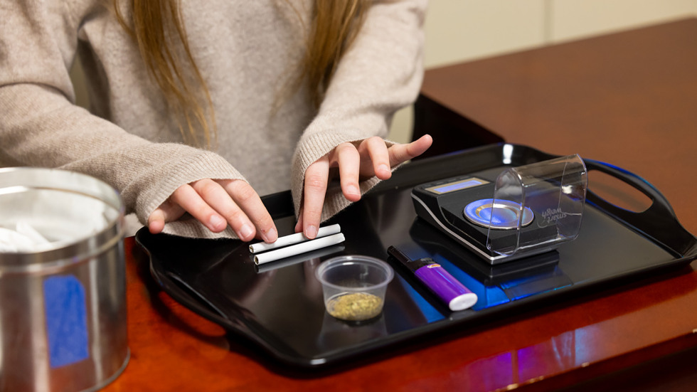 Researcher preparing cannabis cigarettes