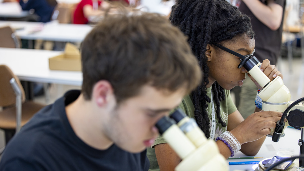 PPSD high schoolers look through microscopes during a summer course as part of Brown's Pre-College Programs.