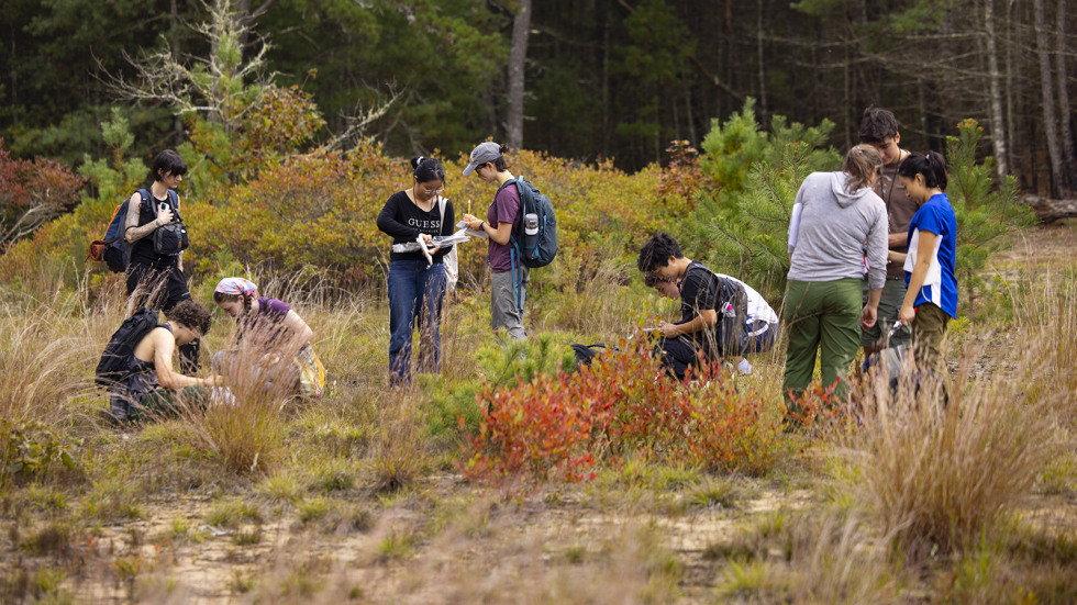 Students in the field