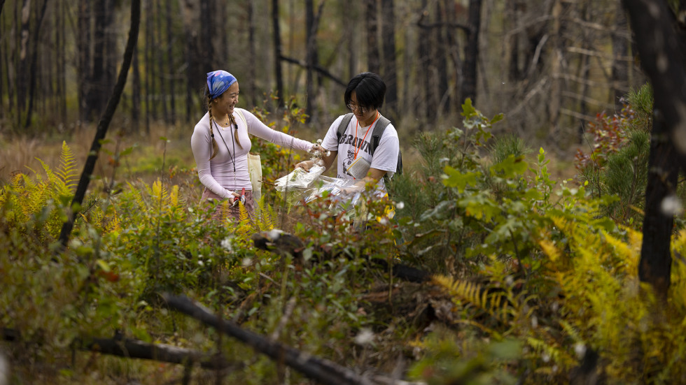 Two students in the woods pressing plant specimens between plastic sheets