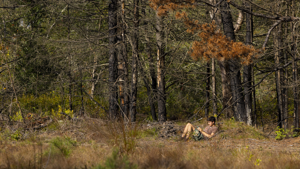 student sitting under a tree in the woods