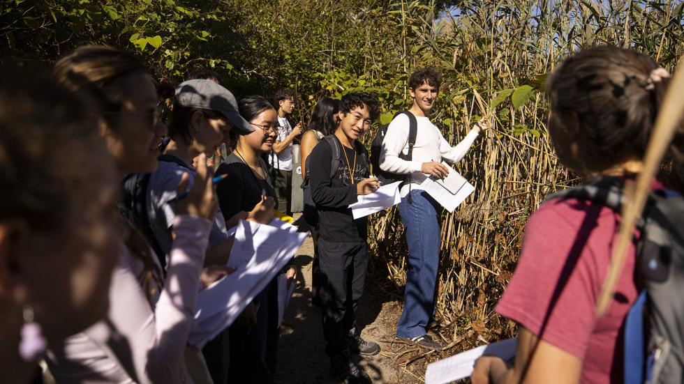 Students on marsh path with grasses and reeds
