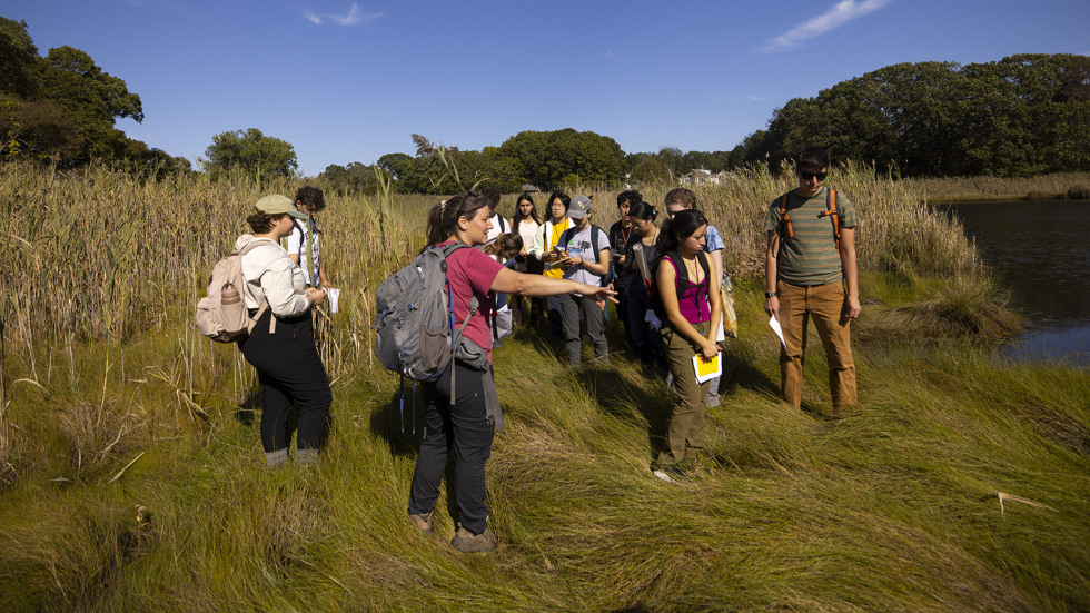 students on field trip in grassy marsh near beach