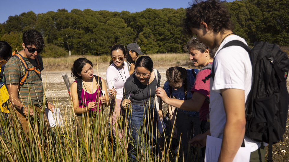 Students identify grasses at the PIC-WIL Preserve 
