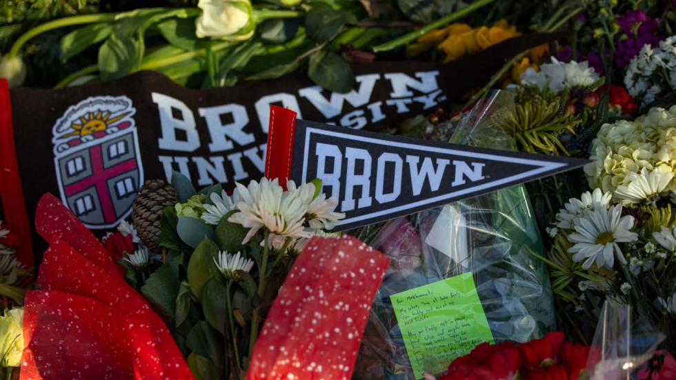 Brown pennants on the ground amid flowers