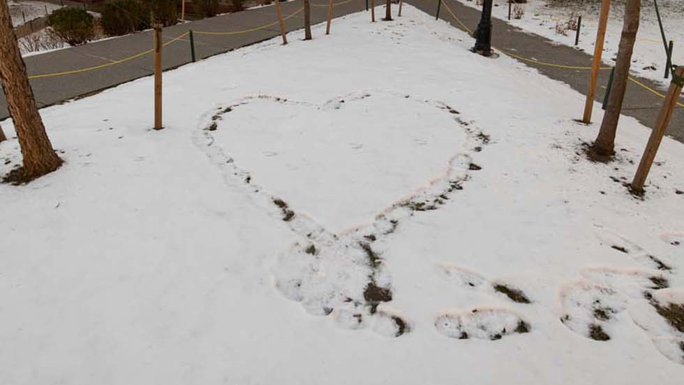 a heart traced in the snow 