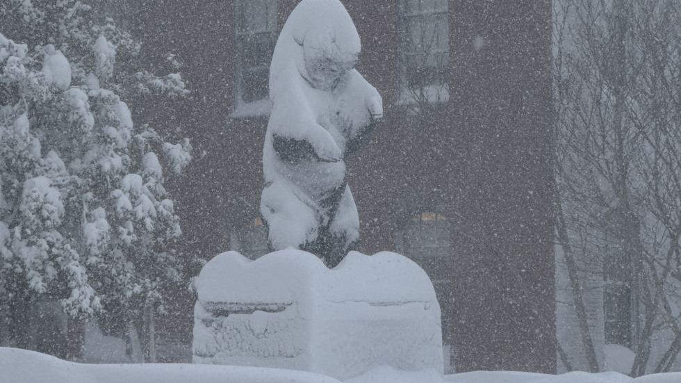 Photos: Historic 'Blizzard of 2026' arrives at Brown | Brown