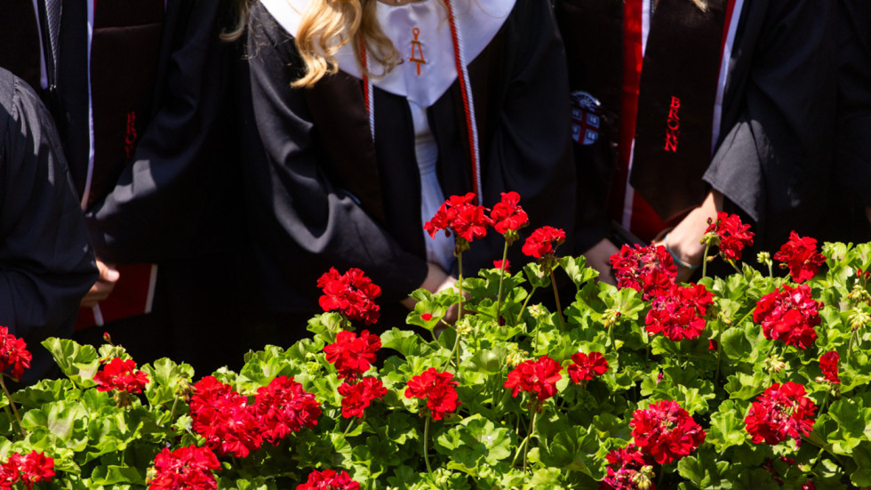 close-up shot of red geraniums in front of grads in gowns