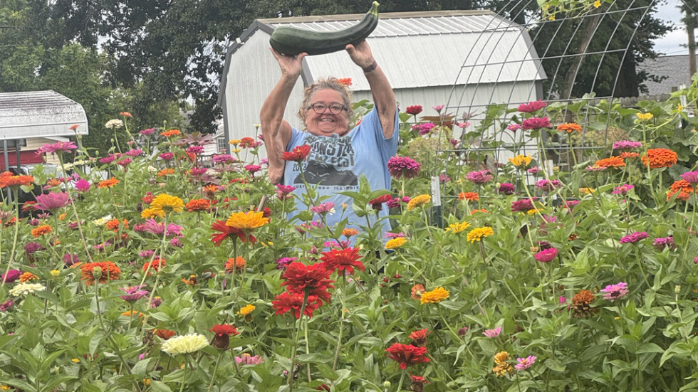 Woman in garden holding up large zucchini