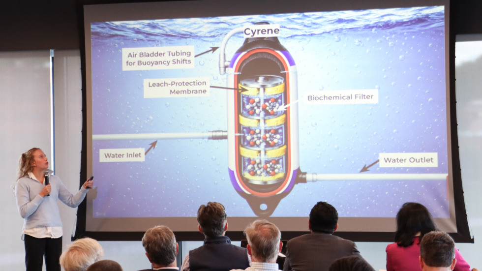 A Brown undergraduate student gestures to a slideshow explaining her company's technology.