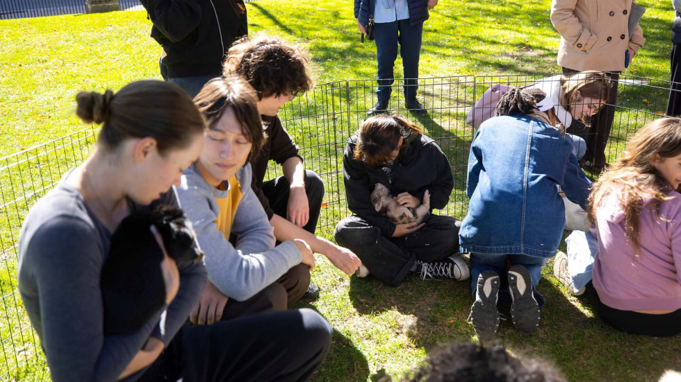 Brown students and families enjoy petting zoo.