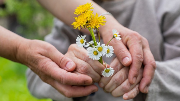 elderly hands holding flowers