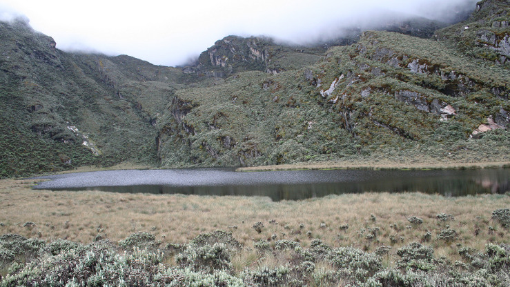 Fire that scorched African mountain range was unprecedented in the