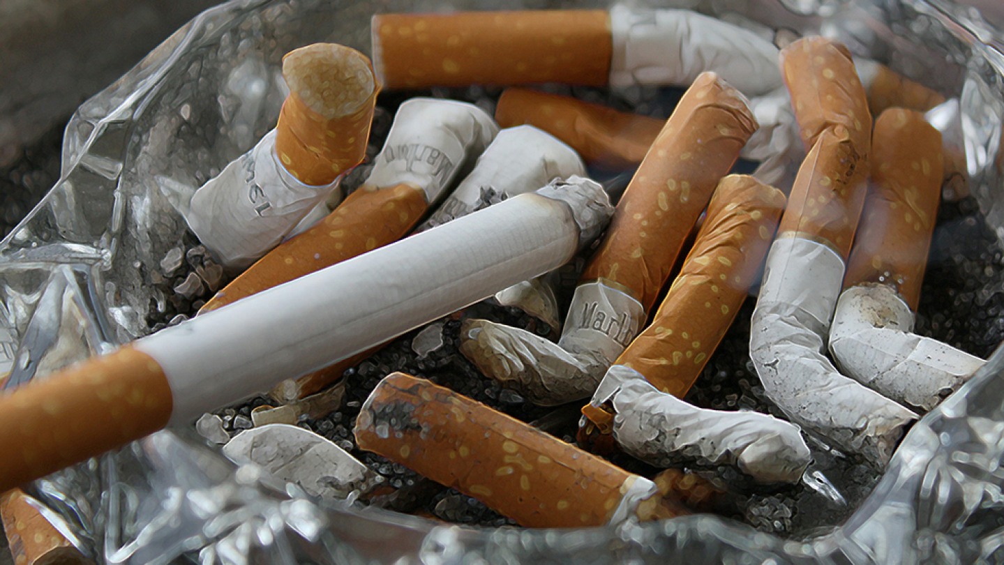 how does cigarette smoke affect dogs Passive smoking can kill your dog