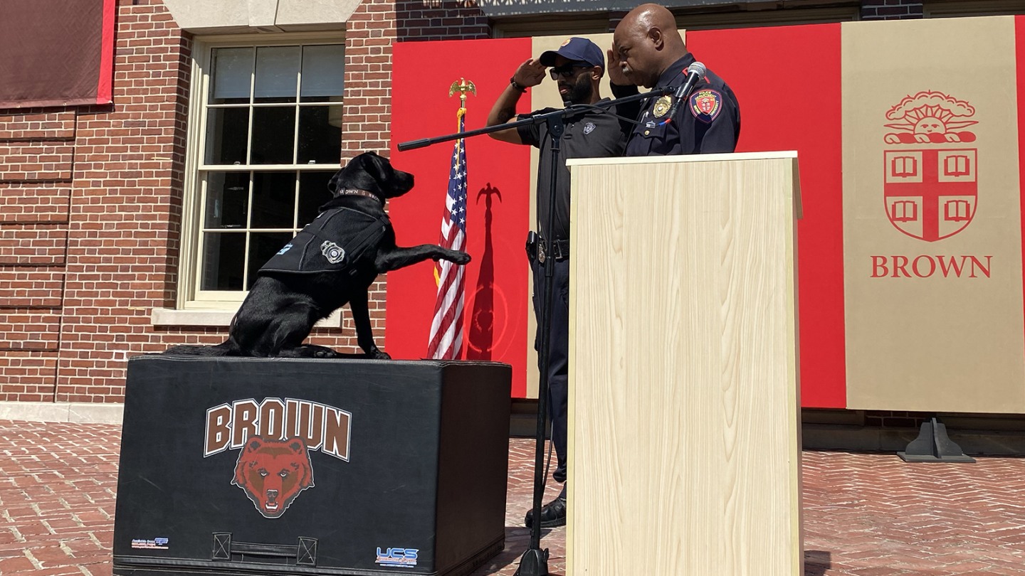 Meet Elvy, a Labrador retriever and the newest member of Brown’s