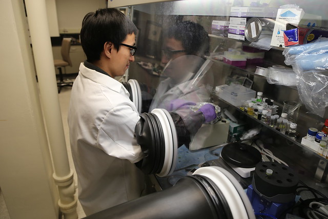 Researcher working in the lab