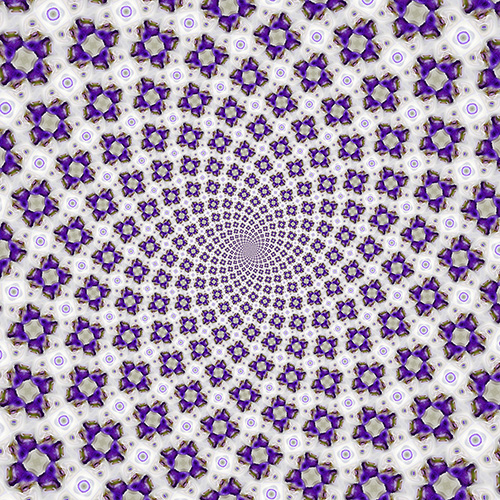 An image of a Fibonacci sequence