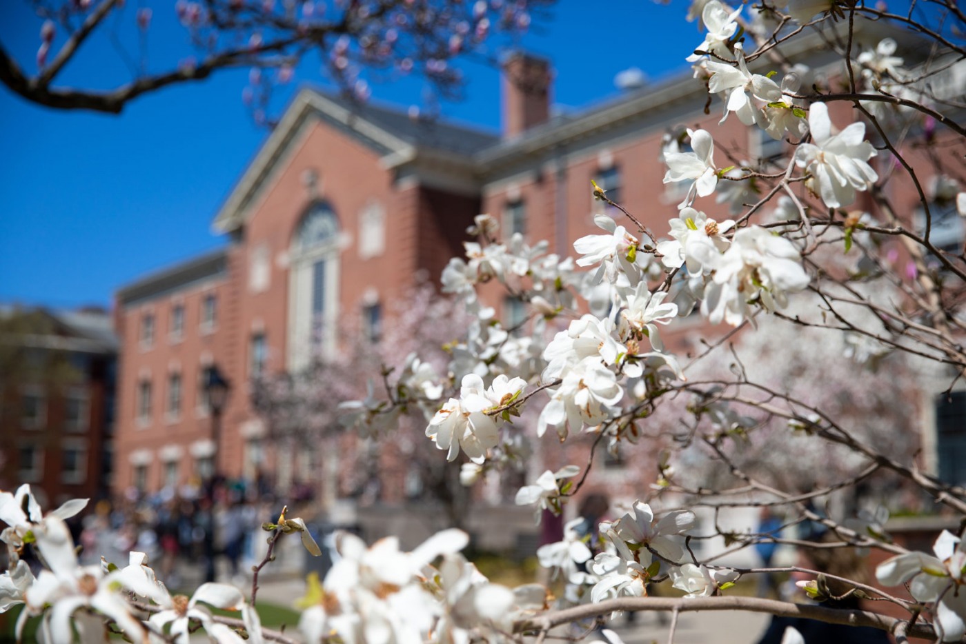 Spring on campus