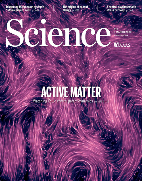 Image of the cover of the journal science