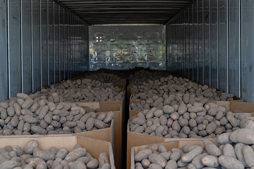 An image of a truckload of potatoes