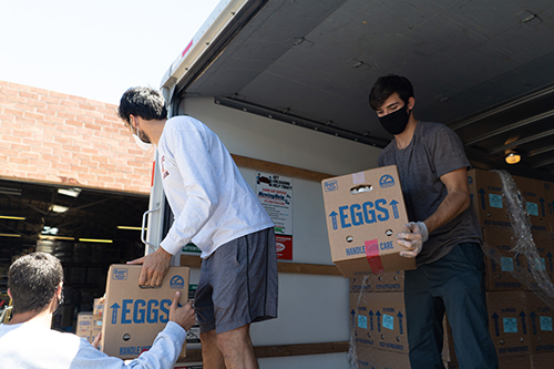 Volunteers delivering eggs