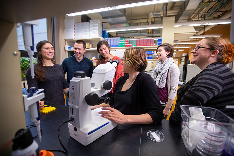 Members of the Plavicki research team gathered around Jessica Plavicki at a light microscope.