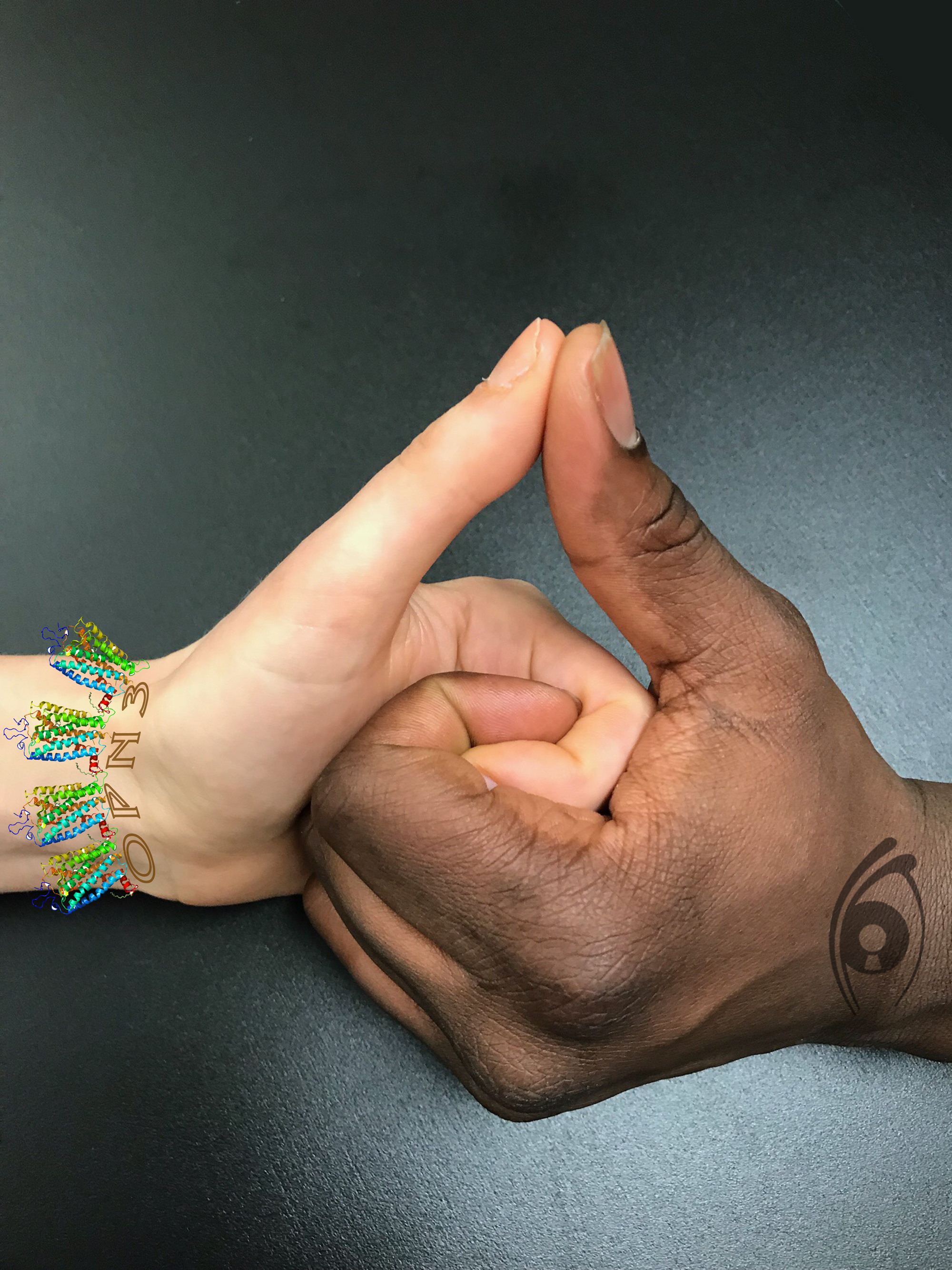 Two hands, one light and the other dark, thumb wrestle against a black background. The lighter hand has a bracelet of light-sensitive proteins. The darker hand has a eye icon.