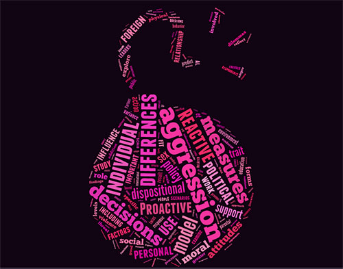 Physical aggression tendencies, aggressive foreign policy positions linked, study says | Brown University