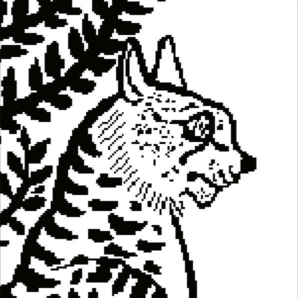 digital image of cat in profile