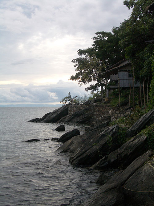 Environmental Change Drove Diversity In Lake Malawi Cichlids Brown University