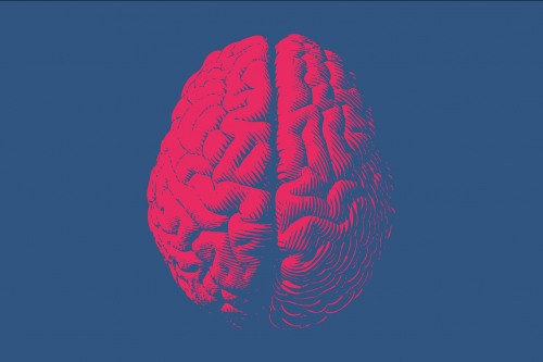 As the brain plans movements, the middle frontal gyrus is listening - Vimarsana News