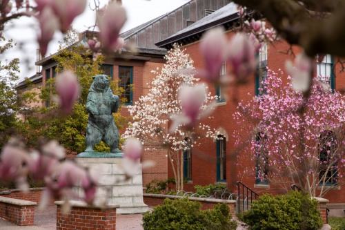 Brown Corporation elects three new fellows, seven trustees - Vimarsana News