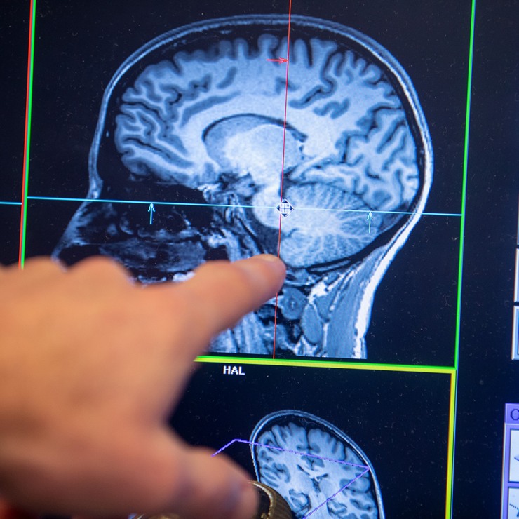 How To Apply Brain Science Of >> Brain Science Ph D Brown University How To Apply Brain Science Of >> Brain Science Ph D Brown University