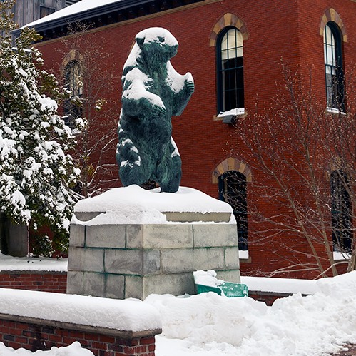Bruno statue in the snow