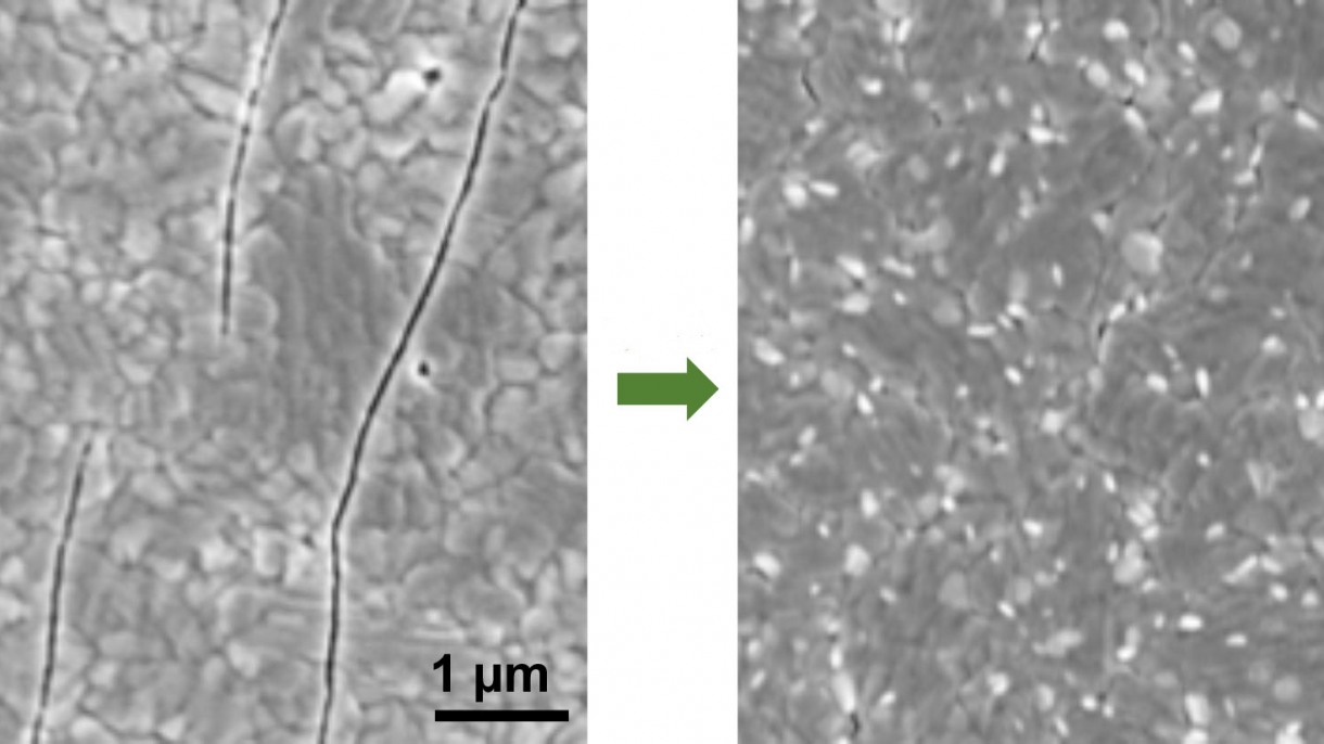 mottled surface with cracks at left, mottled surface without at right