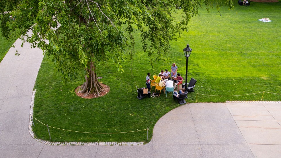 group of people gathered at a table on a manicured lawn