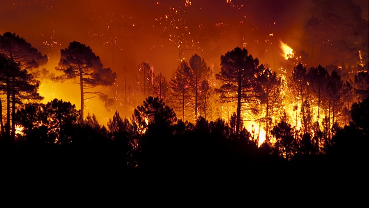 Study Of Past California Wildfire Activity Suggests Climate Change Will Worsen Future Fires Brown University